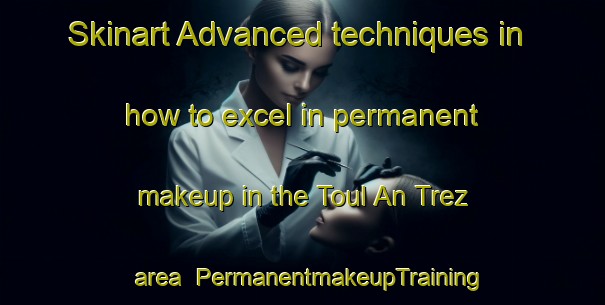 Skinart Advanced techniques in how to excel in permanent makeup in the Toul An Trez area | PermanentmakeupTraining | PermanentmakeupClasses | SkinartTraining-France