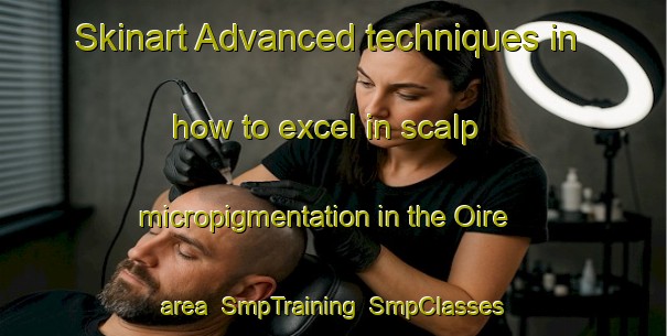 Skinart Advanced techniques in how to excel in scalp micropigmentation in the Oire area | SmpTraining | SmpClasses | SkinartTraining-France