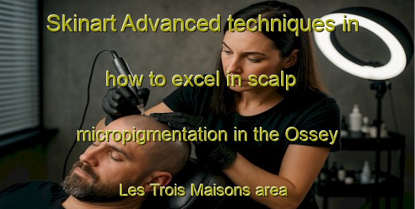 Skinart Advanced techniques in how to excel in scalp micropigmentation in the Ossey Les Trois Maisons area | SmpTraining | SmpClasses | SkinartTraining-France