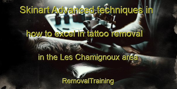 Skinart Advanced techniques in how to excel in tattoo removal in the Les Chamignoux area | RemovalTraining | RemovalClasses | SkinartTraining-France