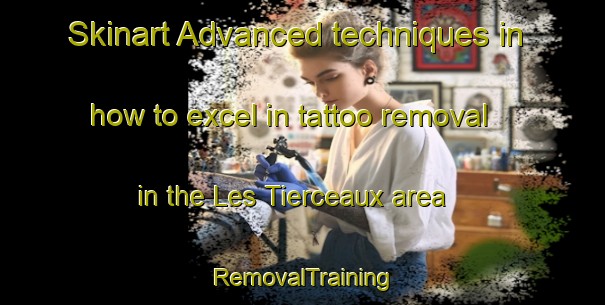 Skinart Advanced techniques in how to excel in tattoo removal in the Les Tierceaux area | RemovalTraining | RemovalClasses | SkinartTraining-France