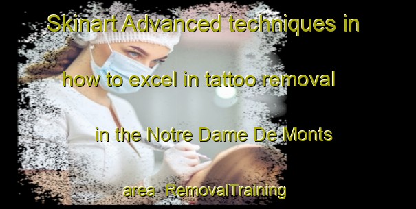 Skinart Advanced techniques in how to excel in tattoo removal in the Notre Dame De Monts area | RemovalTraining | RemovalClasses | SkinartTraining-France