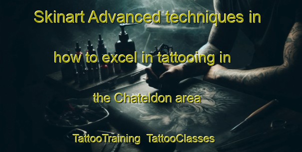 Skinart Advanced techniques in how to excel in tattooing in the Chateldon area | TattooTraining | TattooClasses | SkinartTraining-France