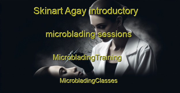 Skinart Agay introductory microblading sessions | MicrobladingTraining | MicrobladingClasses | SkinartTraining-France