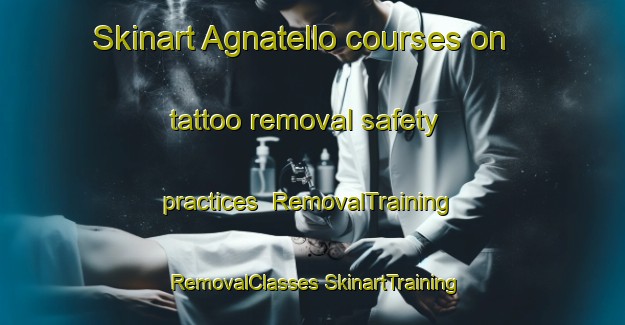 Skinart Agnatello courses on tattoo removal safety practices | #RemovalTraining #RemovalClasses #SkinartTraining-France