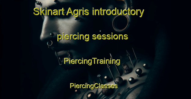 Skinart Agris introductory piercing sessions | PiercingTraining | PiercingClasses | SkinartTraining-France
