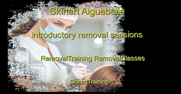 Skinart Aiguebelle introductory removal sessions | #RemovalTraining #RemovalClasses #SkinartTraining-France