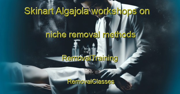 Skinart Algajola workshops on niche removal methods | RemovalTraining | RemovalClasses | SkinartTraining-France