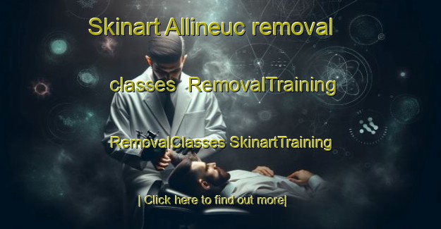 Skinart Allineuc removal classes | #RemovalTraining #RemovalClasses #SkinartTraining-France