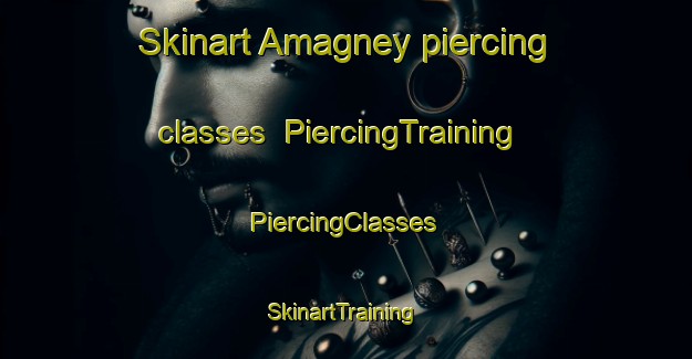 Skinart Amagney piercing classes | #PiercingTraining #PiercingClasses #SkinartTraining-France