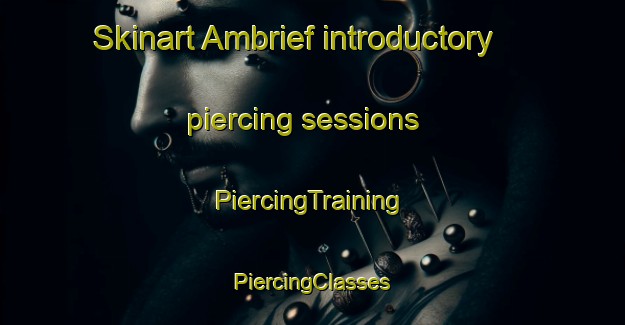 Skinart Ambrief introductory piercing sessions | #PiercingTraining #PiercingClasses #SkinartTraining-France