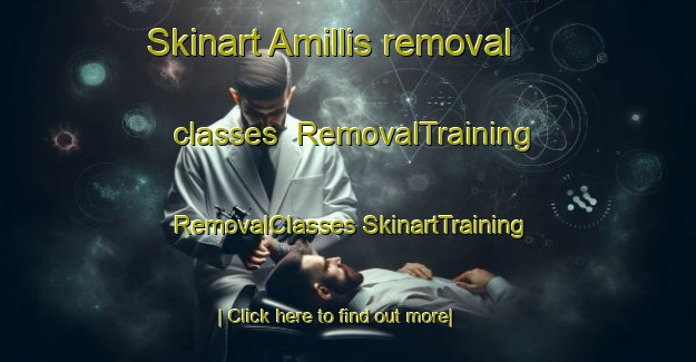 Skinart Amillis removal classes | #RemovalTraining #RemovalClasses #SkinartTraining-France