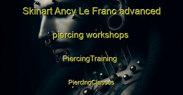 Skinart Ancy Le Franc advanced piercing workshops | #PiercingTraining #PiercingClasses #SkinartTraining-France