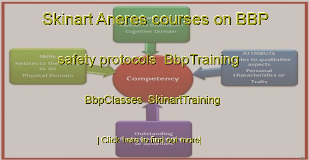 Skinart Aneres courses on BBP safety protocols | BbpTraining | BbpClasses | SkinartTraining-France