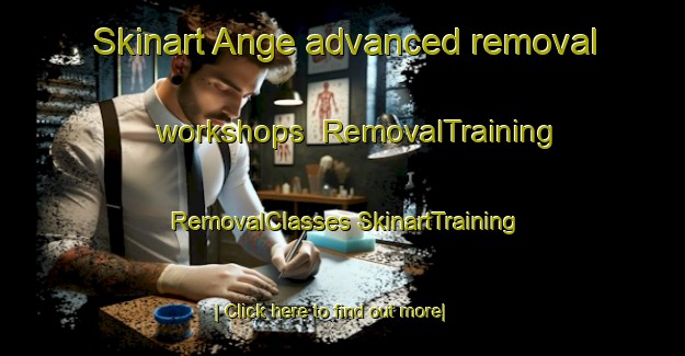 Skinart Ange advanced removal workshops | #RemovalTraining #RemovalClasses #SkinartTraining-France