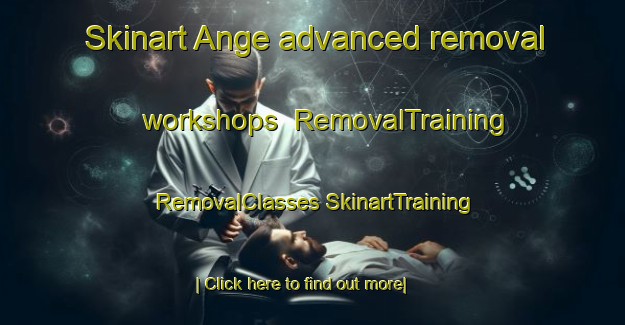 Skinart Ange advanced removal workshops | #RemovalTraining #RemovalClasses #SkinartTraining-France