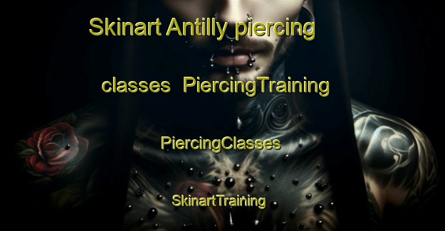 Skinart Antilly piercing classes | #PiercingTraining #PiercingClasses #SkinartTraining-France