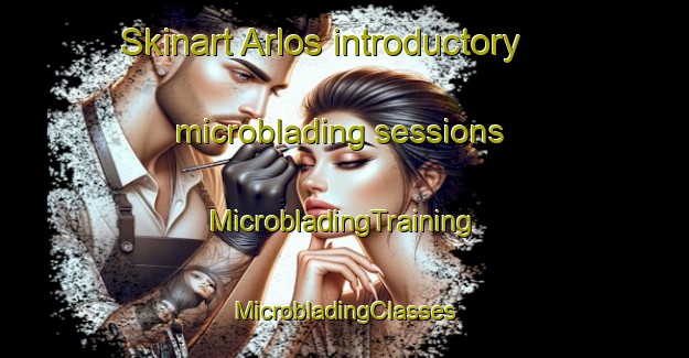 Skinart Arlos introductory microblading sessions | #MicrobladingTraining #MicrobladingClasses #SkinartTraining-France