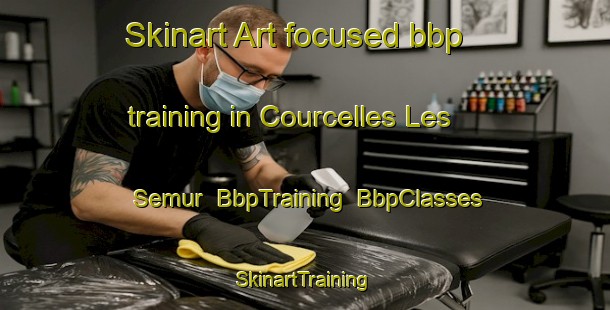 Skinart Art-focused bbp training in Courcelles Les Semur | BbpTraining | BbpClasses | SkinartTraining-France
