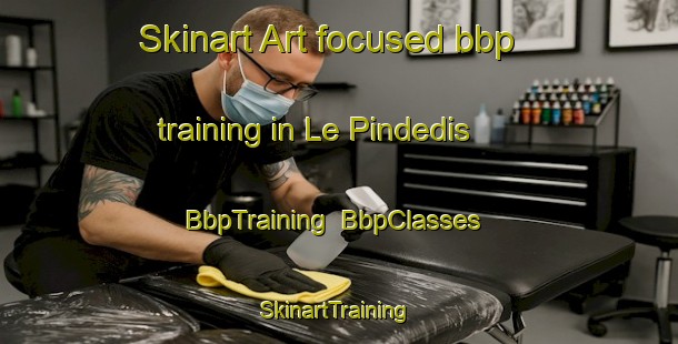 Skinart Art-focused bbp training in Le Pindedis | BbpTraining | BbpClasses | SkinartTraining-France