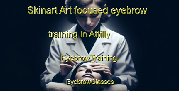Skinart Art-focused eyebrow training in Attilly | EyebrowTraining | EyebrowClasses | SkinartTraining-France