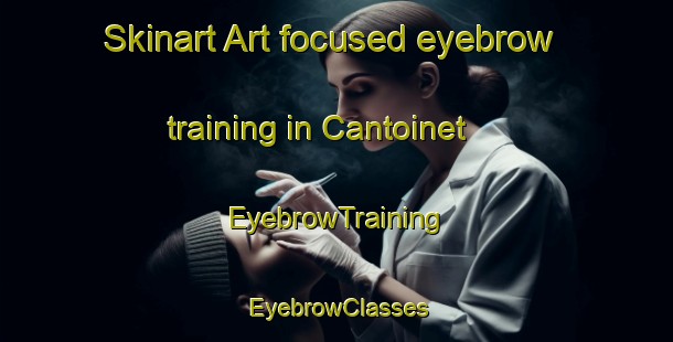 Skinart Art-focused eyebrow training in Cantoinet | EyebrowTraining | EyebrowClasses | SkinartTraining-France