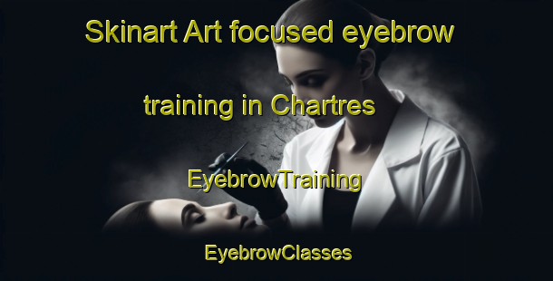 Skinart Art-focused eyebrow training in Chartres | EyebrowTraining | EyebrowClasses | SkinartTraining-France
