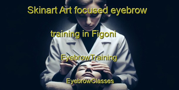 Skinart Art-focused eyebrow training in Figoni | EyebrowTraining | EyebrowClasses | SkinartTraining-France