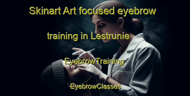 Skinart Art-focused eyebrow training in Lestrunie | EyebrowTraining | EyebrowClasses | SkinartTraining-France