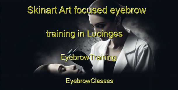 Skinart Art-focused eyebrow training in Lucinges | EyebrowTraining | EyebrowClasses | SkinartTraining-France