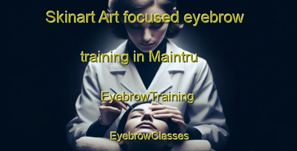 Skinart Art-focused eyebrow training in Maintru | EyebrowTraining | EyebrowClasses | SkinartTraining-France