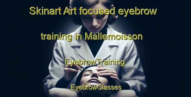 Skinart Art-focused eyebrow training in Mallemoisson | EyebrowTraining | EyebrowClasses | SkinartTraining-France