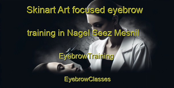 Skinart Art-focused eyebrow training in Nagel Seez Mesnil | EyebrowTraining | EyebrowClasses | SkinartTraining-France