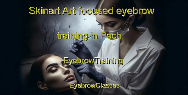 Skinart Art-focused eyebrow training in Pech | EyebrowTraining | EyebrowClasses | SkinartTraining-France