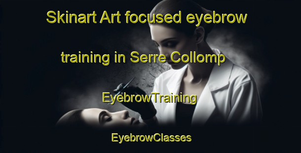 Skinart Art-focused eyebrow training in Serre Collomp | EyebrowTraining | EyebrowClasses | SkinartTraining-France