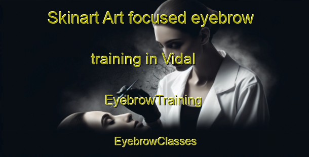Skinart Art-focused eyebrow training in Vidal | EyebrowTraining | EyebrowClasses | SkinartTraining-France