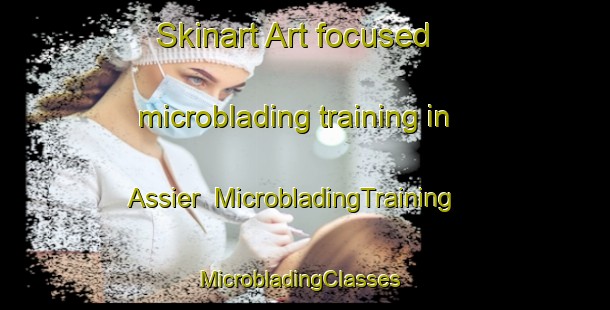 Skinart Art-focused microblading training in Assier | MicrobladingTraining | MicrobladingClasses | SkinartTraining-France