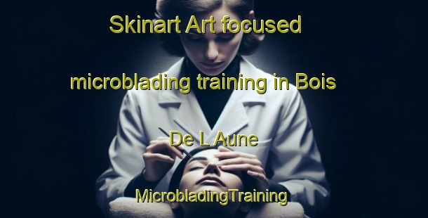 Skinart Art-focused microblading training in Bois De L Aune | #MicrobladingTraining #MicrobladingClasses #SkinartTraining-France