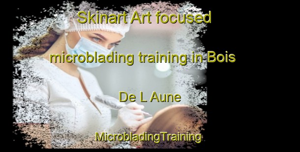 Skinart Art-focused microblading training in Bois De L Aune | #MicrobladingTraining #MicrobladingClasses #SkinartTraining-France