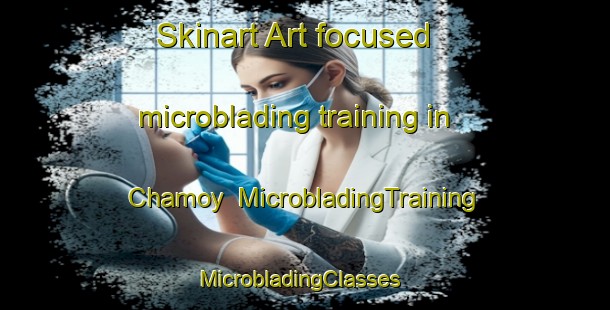 Skinart Art-focused microblading training in Chamoy | MicrobladingTraining | MicrobladingClasses | SkinartTraining-France
