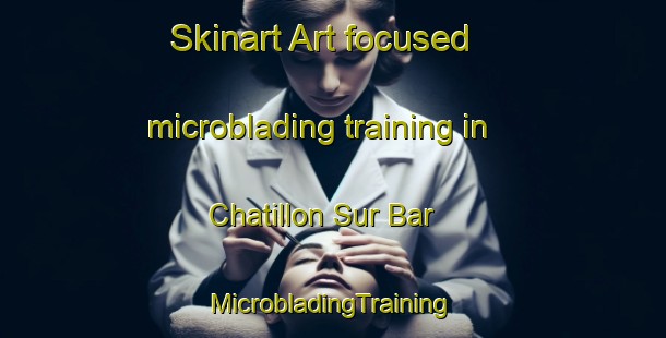 Skinart Art-focused microblading training in Chatillon Sur Bar | #MicrobladingTraining #MicrobladingClasses #SkinartTraining-France