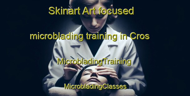 Skinart Art-focused microblading training in Cros | #MicrobladingTraining #MicrobladingClasses #SkinartTraining-France