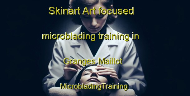 Skinart Art-focused microblading training in Granges Maillot | #MicrobladingTraining #MicrobladingClasses #SkinartTraining-France