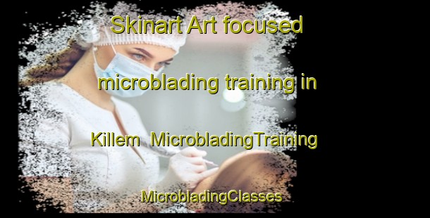 Skinart Art-focused microblading training in Killem | MicrobladingTraining | MicrobladingClasses | SkinartTraining-France