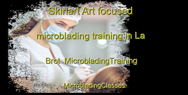 Skinart Art-focused microblading training in La Brot | #MicrobladingTraining #MicrobladingClasses #SkinartTraining-France