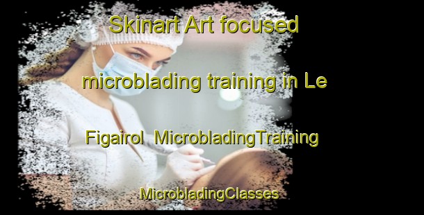 Skinart Art-focused microblading training in Le Figairol | MicrobladingTraining | MicrobladingClasses | SkinartTraining-France