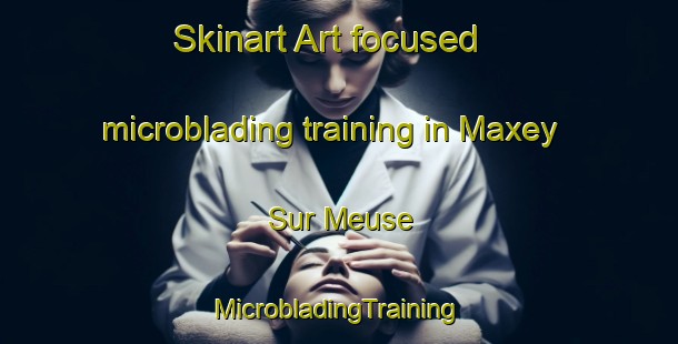 Skinart Art-focused microblading training in Maxey Sur Meuse | #MicrobladingTraining #MicrobladingClasses #SkinartTraining-France