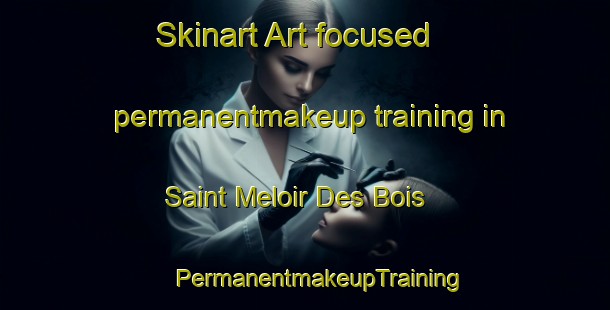 Skinart Art-focused permanentmakeup training in Saint Meloir Des Bois | #PermanentmakeupTraining #PermanentmakeupClasses #SkinartTraining-France