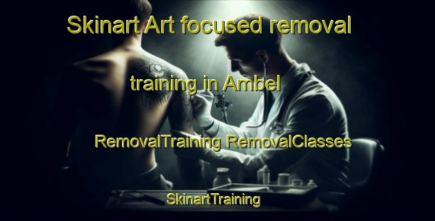 Skinart Art-focused removal training in Ambel | #RemovalTraining #RemovalClasses #SkinartTraining-France