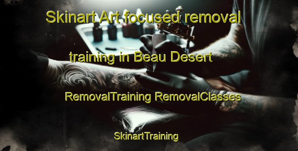 Skinart Art-focused removal training in Beau Desert | #RemovalTraining #RemovalClasses #SkinartTraining-France